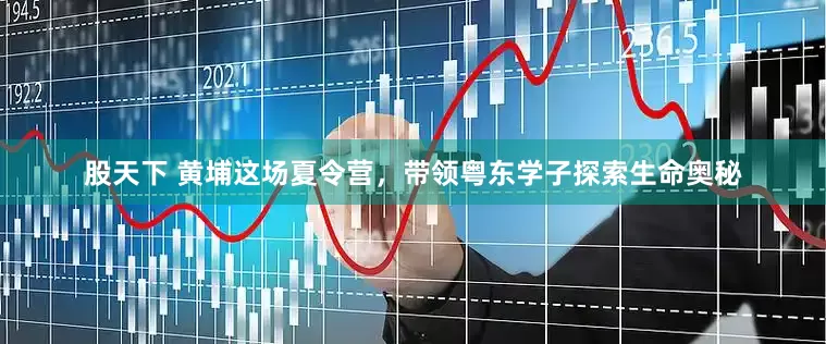 股天下 黄埔这场夏令营，带领粤东学子探索生命奥秘