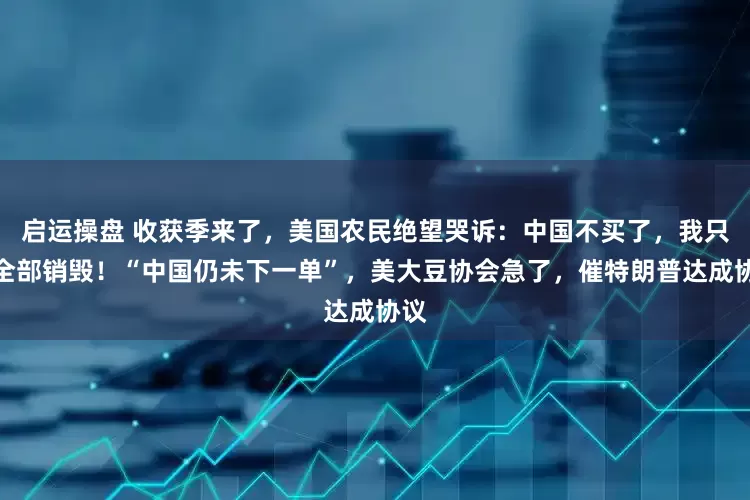 启运操盘 收获季来了，美国农民绝望哭诉：中国不买了，我只能全部销毁！“中国仍未下一单”，美大豆协会急了，催特朗普达成协议